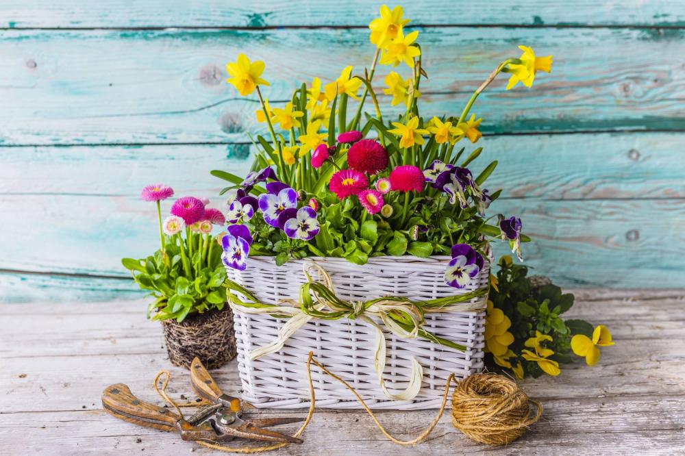 fleurs sauvages